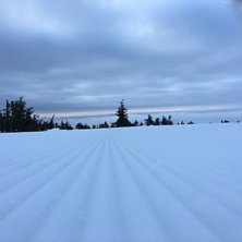 Klarv&aelig;r over t&aring;ka
Det gjelder &aring; komme seg opp i.