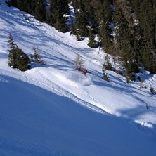 1 vecka efter sn&ouml;fall ligger skogen i bruson som . Foto: Coffe. &Aring;kare: Kaj.