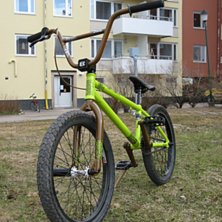 Eastern shovelhead -08. Foto: Viktor Olofsson.