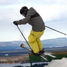 l&auml;skig landning p&aring; den, platt sen ner f&ouml;r en ka. Foto: jacob(SwedenProPhoto). &Aring;kare: jag.