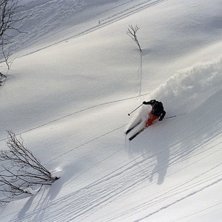 Foto: Martinkjaergaard. &Aring;kare: Michael Brix.