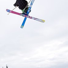 7:a true tail, i think?. Foto: random!. &Aring;kare: john hansback.