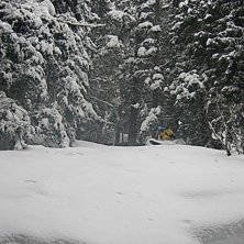 Foto: Erik Nyberg. &Aring;kare: Gustav Holmer.