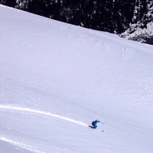 Foto: Magnus Kring. &Aring;kare: M&aring;rten &Aring;gren.