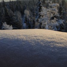 Foto: Linn &Ouml;stlund.