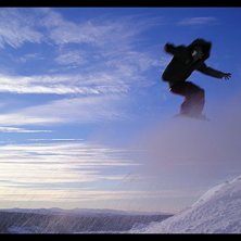 Ok&auml;nd &aring;kare. Bilden tagen i R&ouml;dkulleomr&aring;det.. Foto: Filip Jacobson.