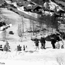 Foto: Tolle. &Aring;kare: Dennis Lind.