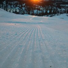Godt nytt &aring;r!
Nypreppet bakke og str&aring;lende solB-.