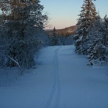 Foto: frans mostr&ouml;m.