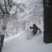 tim k&ouml;r p&aring; i skogen n&aring;gonstans i catedral. Foto: erik Rasmusson. &Aring;kare: tim Ekfeldt.