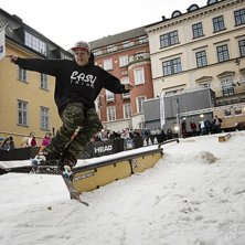 Winter Show i Kungstr&auml;dg&aring;rden 2014.. Foto: Hedda Berander.