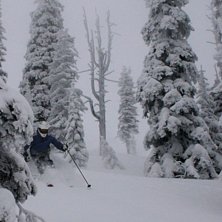 &Auml;nnu lite sk&ouml;n skogsskid&aring;kning i Fernie, BC. Foto: Jens. &Aring;kare: Max Larsson.