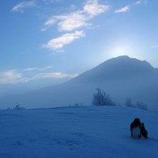 Nesta ute p&aring; morgonpromenad. Foto: Erik Rosenfors. &Aring;kare: Nesta Starbuck.