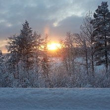 Foto: Emil F&auml;lt.