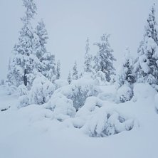 Sn&oslash;en laver ned
Sn&oslash;v&aelig;ret fortsetter og det er f.