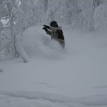 Kittel e ju guld!. Foto: Tobias Rydberg. &Aring;kare: Marcus Jarl&ouml;.