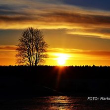 Solnedg&aring;ng. Foto: Markus Wall.