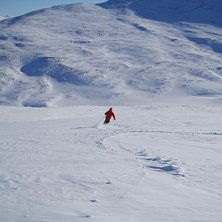 Efter att ha virrat runt i Svartabj&ouml;rn s&aring; hittad. Foto: Per Torkkeli. &Aring;kare: sante.