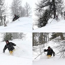 Collage av en djup l&auml;rkskog. Foto: Peter Karlsson. &Aring;kare: Sture &Aring;gren.