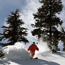 Foto: Jesper Tengvall. &Aring;kare: Oskar Brandberg.