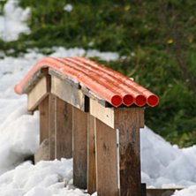 var o k&ouml;rde en liten session och kn&auml;ppte den h&auml;. Foto: lucas tiblom. &Aring;kare: railen.