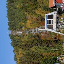 Foto: Janne Storf&auml;lt.