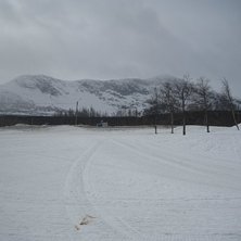 En h&auml;rlig bild &ouml;ver borkafj&auml;llet som st&aring;r mitt. Foto: Anton.