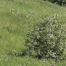 Foto: Kalle H&auml;gglund.