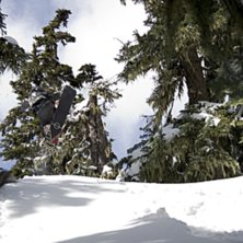 En trea ut i l&ouml;ssn&ouml;n.. Foto: Per Nyberg. &Aring;kare: Emil Rydell.