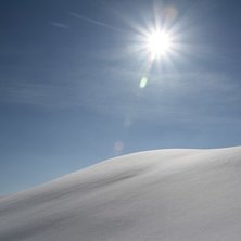 En vit &ouml;ken. Foto: Stefan Johansson.