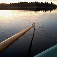 Foto: ian Archibald.