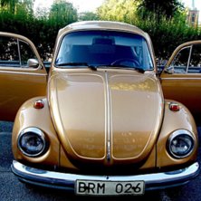 var bara tvugen att l&auml;gga upp min honungskupa h&auml;.