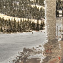 =). Foto: Tim Swedborg.