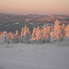 s&aring;&aring; fint. Foto: Anna Conda. &Aring;kare: ingen va ja ser :/ ?.