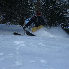 Fotade lite i skogen. Foto: Simon Carlsson. &Aring;kare: Joakim Carlsson.
