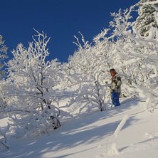Sjuuukt goooo dag med puder fr&aring;n morgon till kv&auml;. Foto: Caroline S&ouml;der. &Aring;kare: Anders Flod&eacute;n.