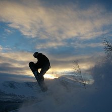 Foto: Mikael H&ouml;glund. &Aring;kare: Anti.