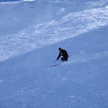 Another sunny day at Gemstock. Foto: Been. &Aring;kare: Totte Davidsson.