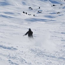 Foto: Sofia Sk&ouml;ld. &Aring;kare: Johan Sk&ouml;ld.