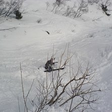 han skulle g&ouml;ra &ouml;rnen &ouml;ver n&aring; buskar..vurpa me. Foto: big-j. &Aring;kare: DB.