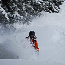 Foto: Alexander Palm. &Aring;kare: krille.