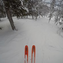 Salomon QST 106 Foto