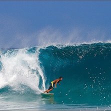 En dag med stora bryt!. Foto: Tomas Hj&auml;rtstr&ouml;m. &Aring;kare: Local.