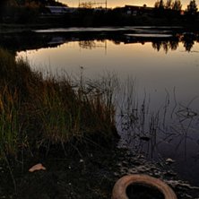 en sk&ouml;n kv&auml;ll :). Foto: William &Aring;kerman.