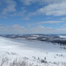 Foto: Danne Persson.