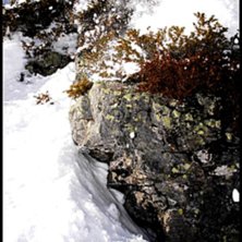 P&aring; v&auml;g ner f&ouml;r ett sk&ouml;n drop.. Foto: Johan Schedin. &Aring;kare: Johan Olsson.