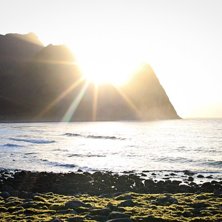 Foto: Christine Hargin.