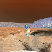 P&aring;v&auml;g mot en sk&ouml;n 360 hemma i Storsj&ouml;n, Bergsj. Foto: Oskar Sp&aring;ngberg. &Aring;kare: Totte Carlsson.