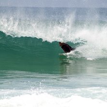 Foto: Johan M&aring;rtensson. &Aring;kare: Local.