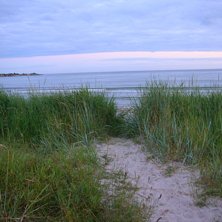 En varm kv&auml;ll i juli p&aring; stranden i Sandviken. Foto: Liisa Palmqvist.